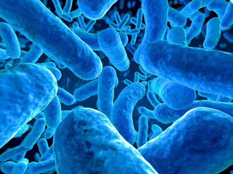 The gut-brain axis: the way gut bacteria affect our minds